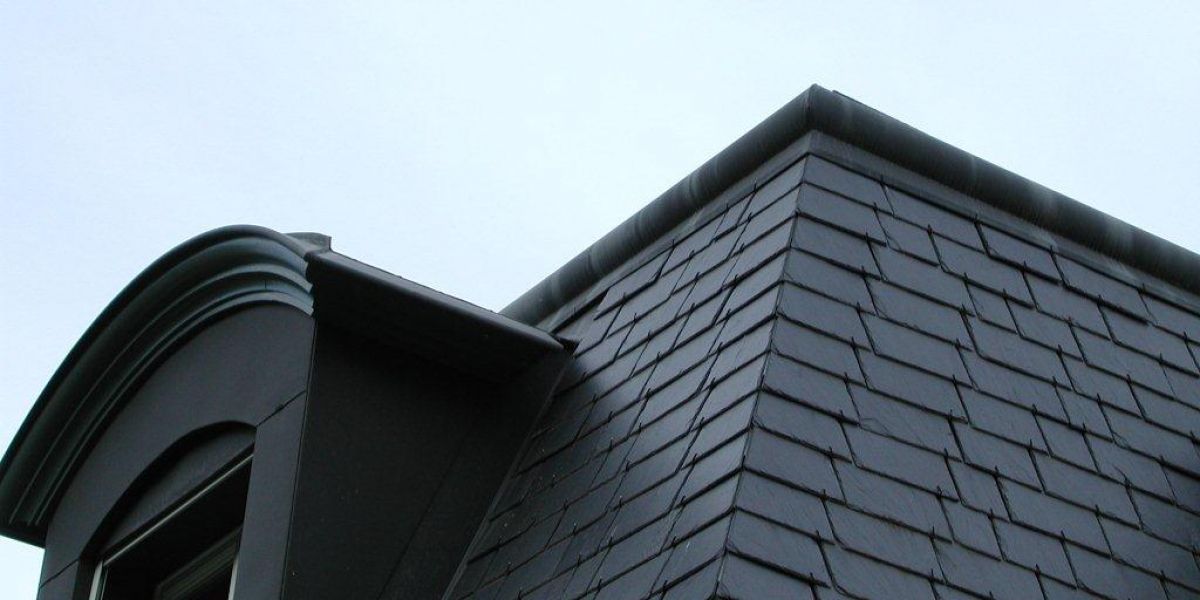Photos pour le site (212)