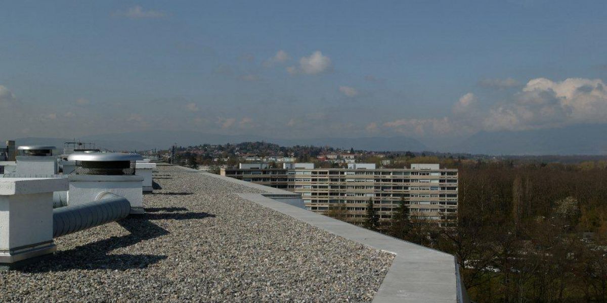 Photos pour le site (85)